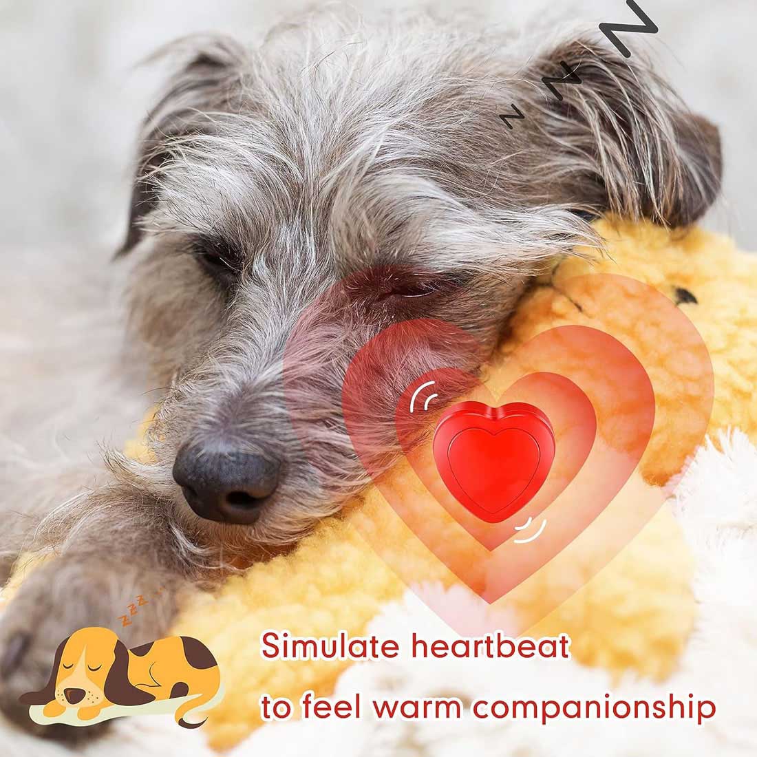 Heartbeat Toy for Puppy, Behavioral Training Dog Plush Pet toy Snuggle Anxiety Relief Sleep Aid Doll Accessories.