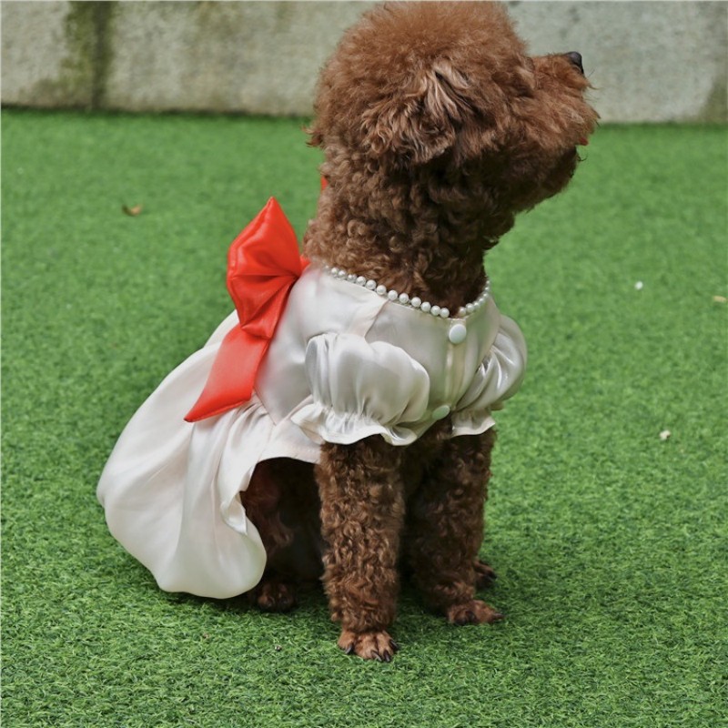 Vêtements pour chiens printemps et jupe d'arc d'été vêtements pour animaux de compagnie