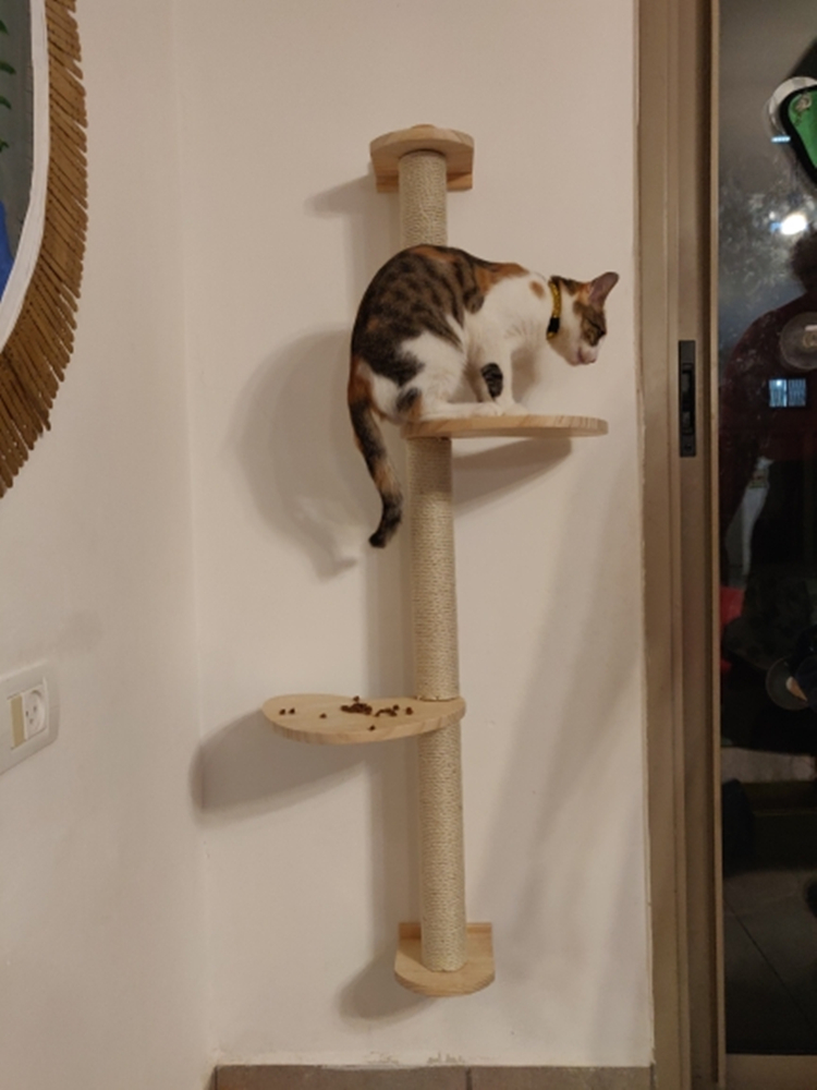 Cat Furniture Scratchers Scratch Board Toy Sisal post Kitten Climbing Scratching Tree s Protecting Grind Claws Scratcher HW024 220906