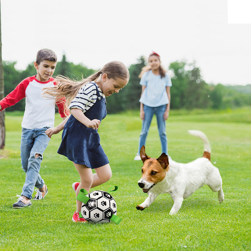Toys de cachorro mastigar futebol de estimação interativo com guias de guias pata ao ar livre de treinamento de futebol mastigam bolas para acessórios 220908