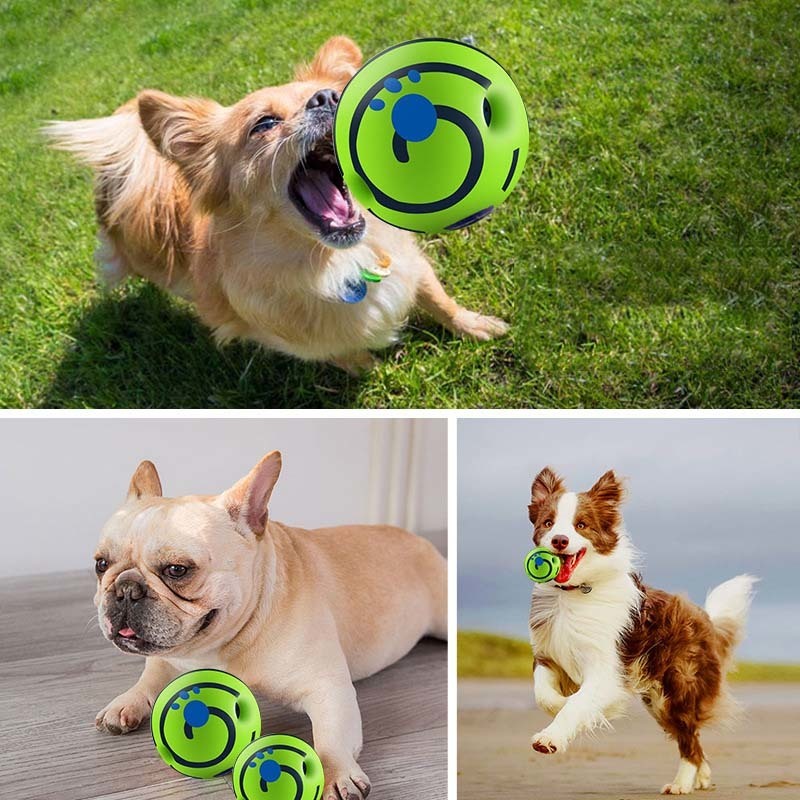 Giocattoli cani mastica 10 cm / 14 cm giocattolo palla vocale cani resistente ai denti mordenti cani di piccola taglia orsacchiotto Golden Retriever Pet Rolling Sound Balls PVC Safe 220908