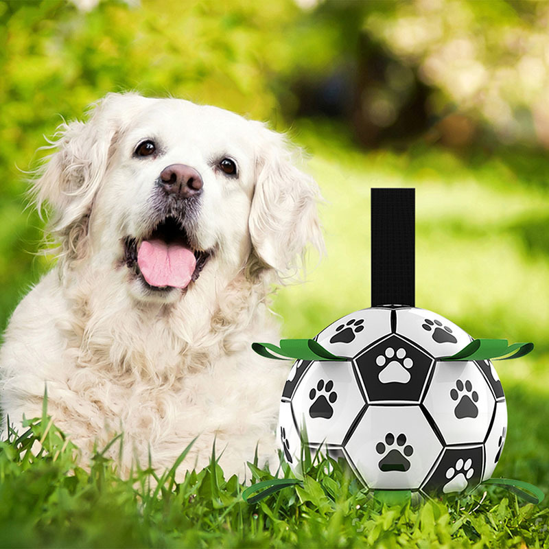 Toys de cachorro mastigar futebol de estimação interativo com guias de guias pata ao ar livre de treinamento de futebol mastigam bolas para acessórios 220908