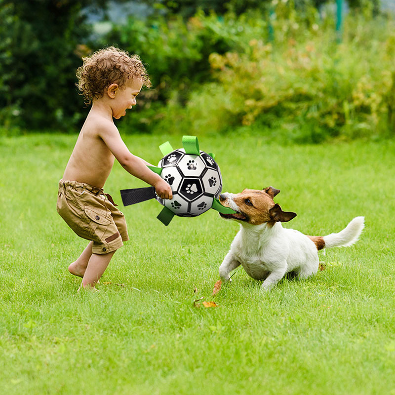 Toys de cachorro mastigar futebol de estimação interativo com guias de guias pata ao ar livre de treinamento de futebol mastigam bolas para acessórios 220908
