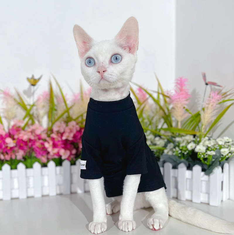 Cat Costumes Hairless cat clothes German cotton Kitten vest Devon Rex Kitty Outfits spring summer bottoming shirt Sphynx cat clothing 220908