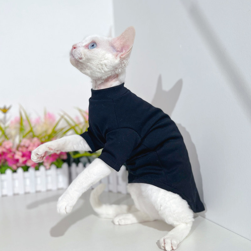 Kostiumy kota bezwłose ubrania kota niemiecka bawełniana kamizelka kociaka devon rex kotek stroje wiosenne letnie dno koszula Sphynx cat odzież 220908