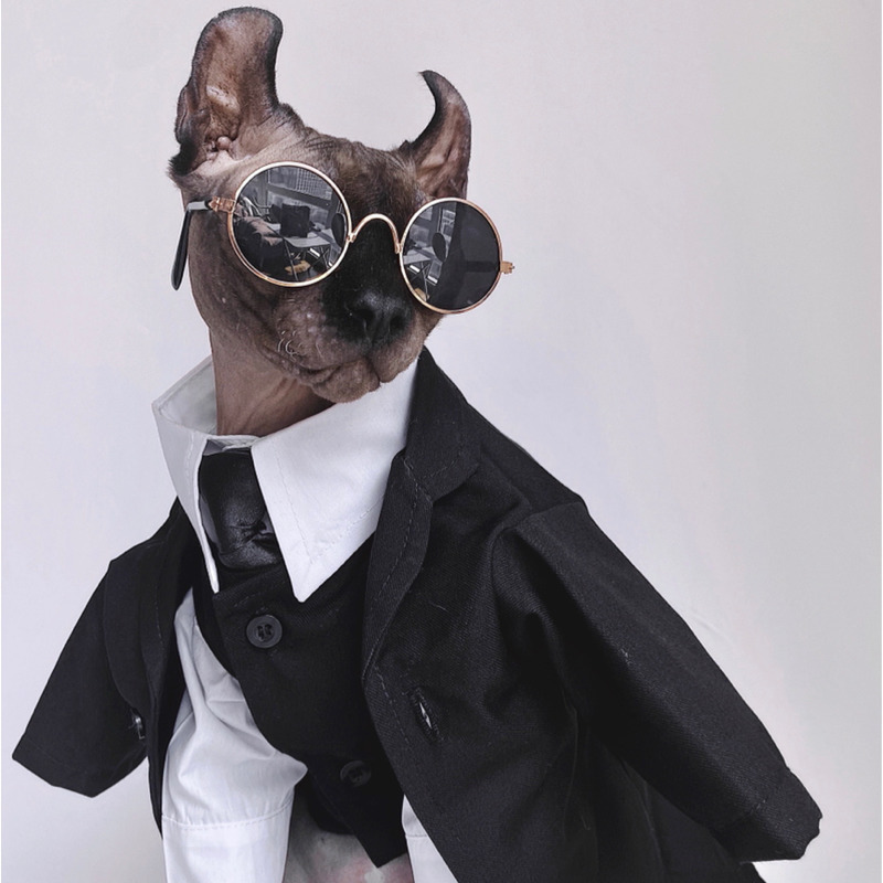 PetCrafts Sphynx Cat Tuxedo Autumn Winter Wedding Suit For Hairless 
