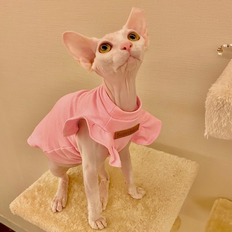 Cat Costumes Luxury Sphynx Cat Clothes Summer Dog Fancy Dress For Hairless Cats Clothing Small French Bulldog Puppy Costume Kittens Vest 220908