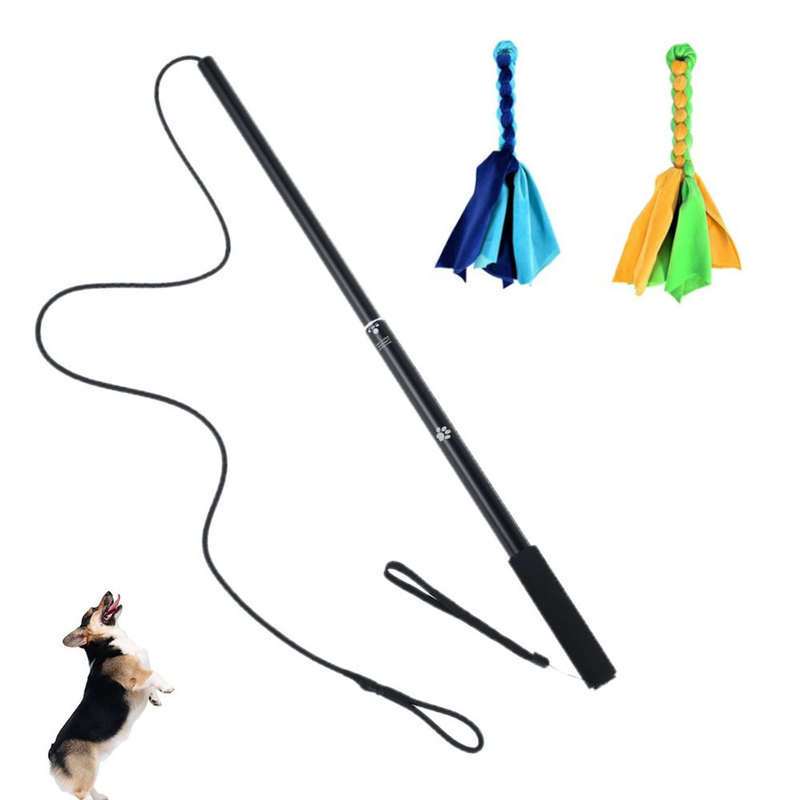 Hundespielzeug Kauen Flirt Stangen Hundetiere Interaktive Lure Stick Haustier Hundespielzeug Ausleitbarer Flirtstange Jagd Tail Teaser Trainer Haustiere Katze Vorräte 220908