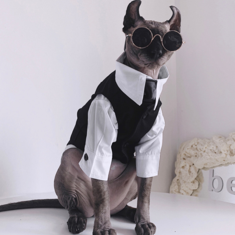 Costumes de chat Sphynx Vêtements de chat sans poils Sphinx Devon Automne Hiver Robe anglaise Costume de mariage Pet Gentleman Beau manteau cool 220908