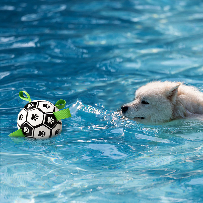 Toys de cachorro mastigar futebol de estimação interativo com guias de guias pata ao ar livre de treinamento de futebol mastigam bolas para acessórios 220908