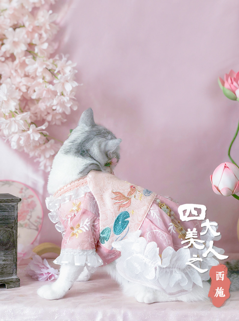 Cat Costumes Original Pet Hanfu Cat Dog Clothes Antique Chinese Style 220908