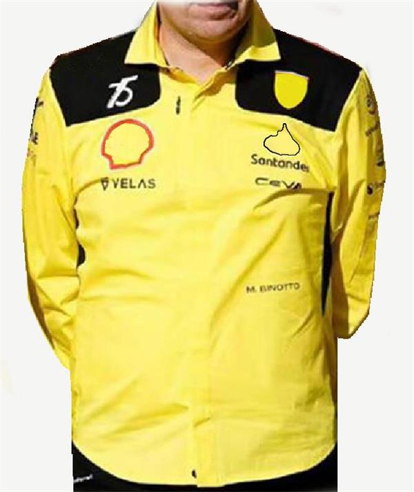 new F1 racing polo suit summer team shirt same style customization