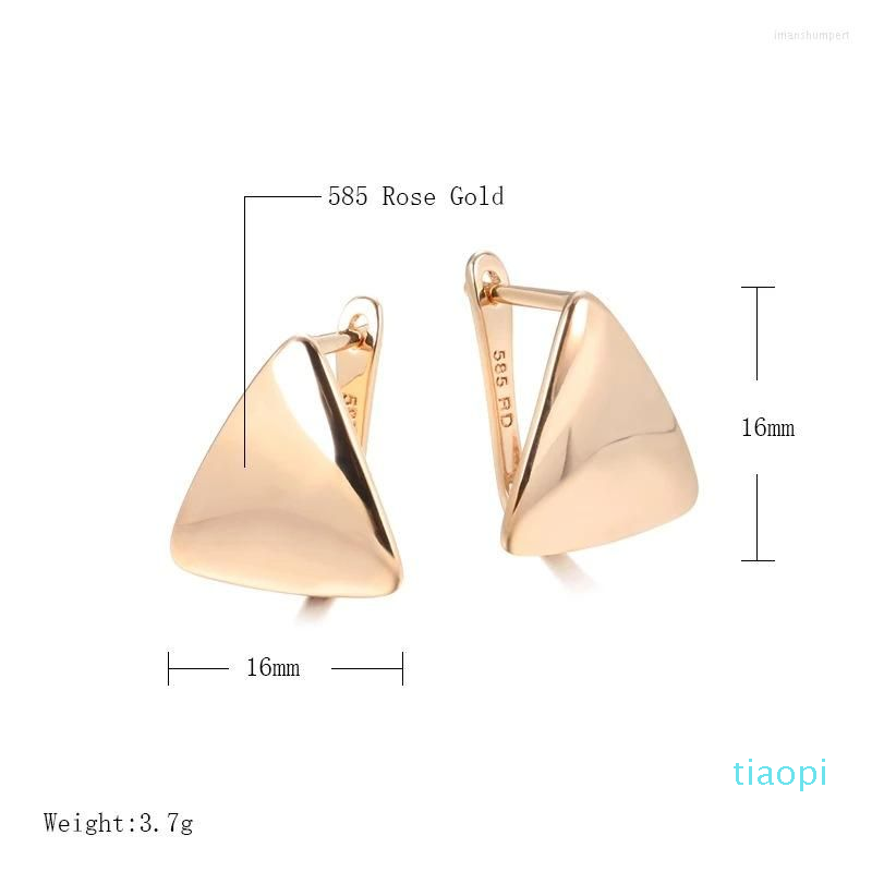 2022 NYA Fashion Hoop Earrings Women's Gold Geometric Triangle Fashion Korean Party Jewelry Top Quality221C