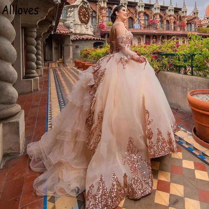 Tatlım artı boyutu quinceanera kadınlar için pageant balo elbiseleri pembe pembe pembe dantel aplike edilmiş tatlı 16 elbise ayrılabilir uzun kollu balo cl1165