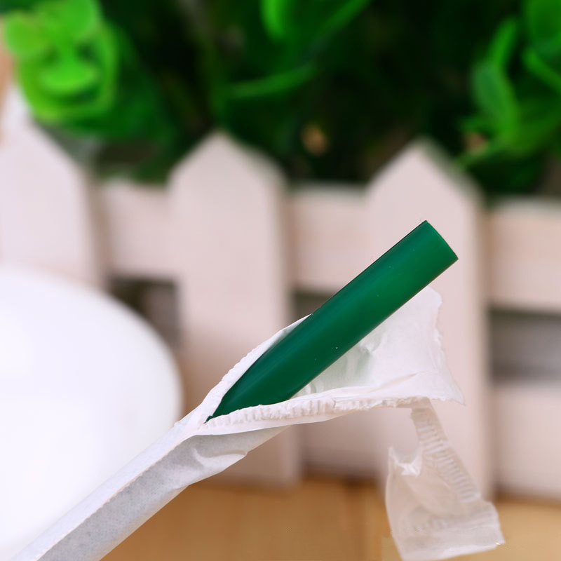 Disposable Drinking Straws Set Plastic Environmental Juice Coffee Straw Individual Packaging