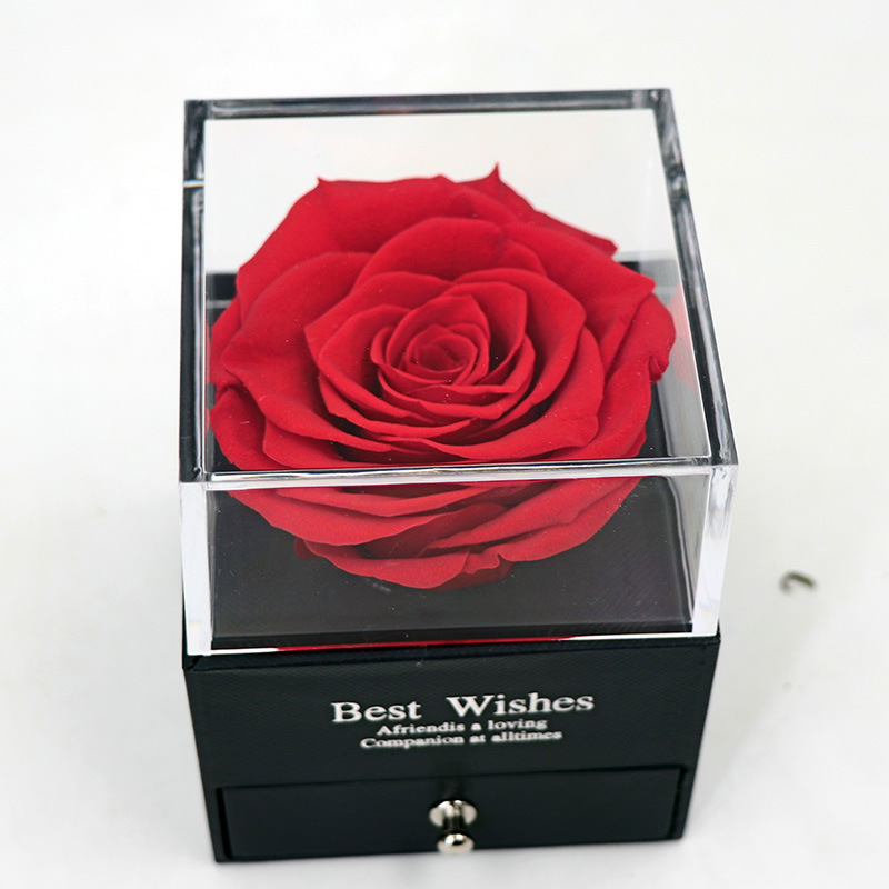 Preserved Flower In Glass Dome Eternal Rose Decoration Red Ecuador Gift Box Can Put Ring Valentines Day Birthday Creative Gifts for Women