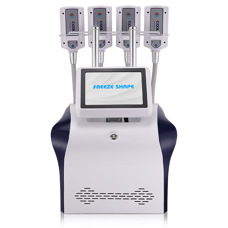 Freeze Shape Fat Freezing Cryolipolysis Machine 4 Cryo Plates Pads 2 in 1 EMS RF Body Shaping Stubborn Fat Removal Equipment