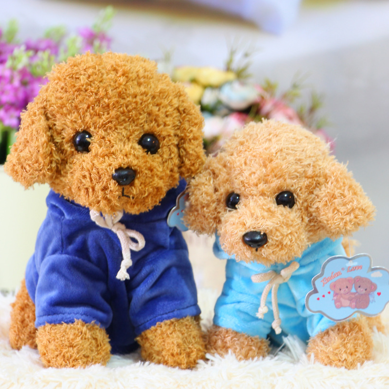 2022 GEBOUWDE DIENS Simulatie Dog Plush Toy Doll Rag Doll Curly Teddy Husky Golden Retriever Children's Dolls Birthday Gift C41