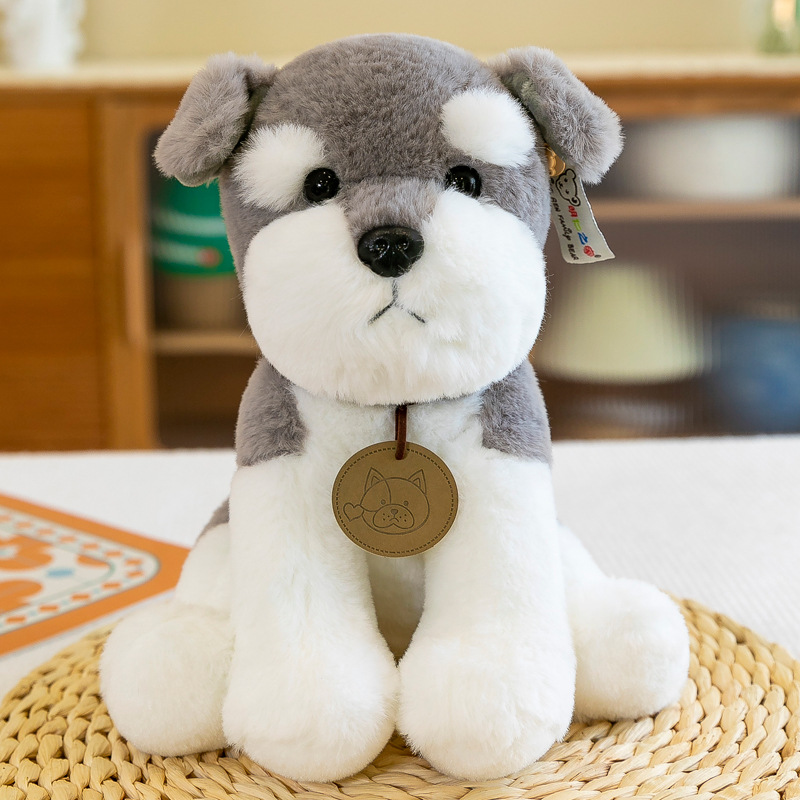 Animaux en peluche de dessin animé, nouveau chien mignon de 25cm, petite poupée Husky, cadeaux d'anniversaire pour enfants, C50, 2022