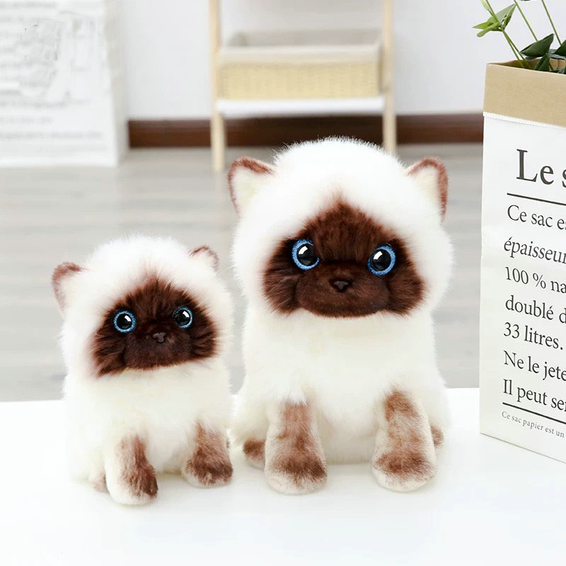 Plyschdockor simulering Siamese Cat Toy Blue paljetter Eyes Cat Brown och White Face Ragdoll Plush Home Decor Toys 220927