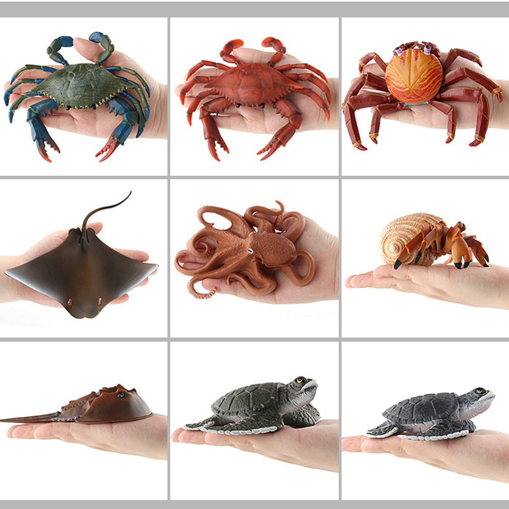 Anime Manga Oceano Sea Life Simulazione Modello animale Set Squalo Balena Tartaruga Granchio Delfino Giocattoli d'azione Figure Bambini Collezione Eonal Regalo 220923