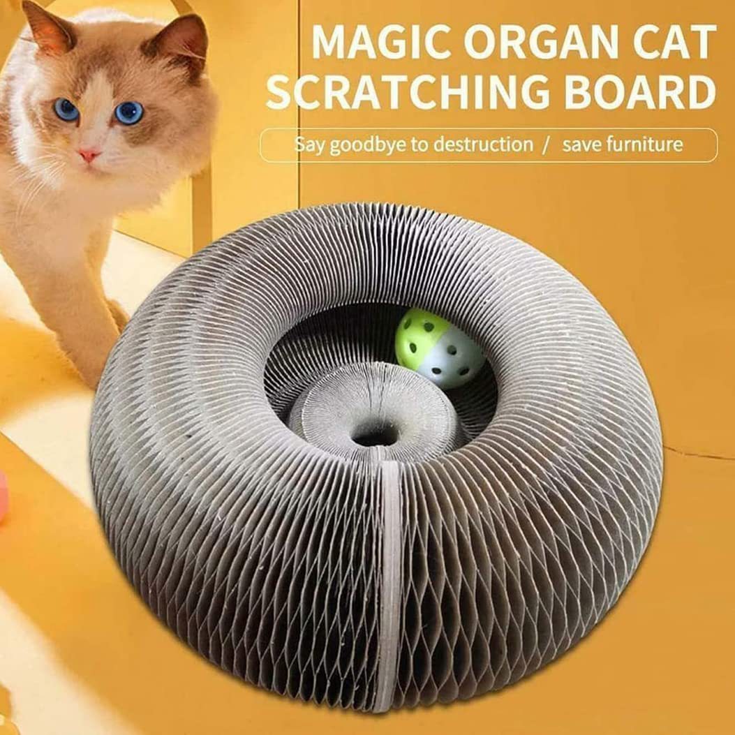 Cat Furniture Scratchers Magic Organ Board Toy with Bell Grinding Claw Climbing Frame er Lounge Bed 220928