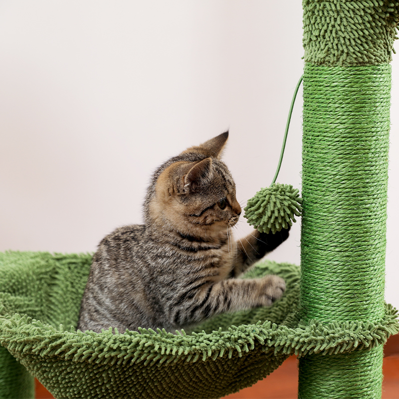 Cat Furniture Scratfer Scratfer Cactus post post with sisal rop scratcher tree faceel مريحة أرجوحة واسعة تسلق إطار 220930