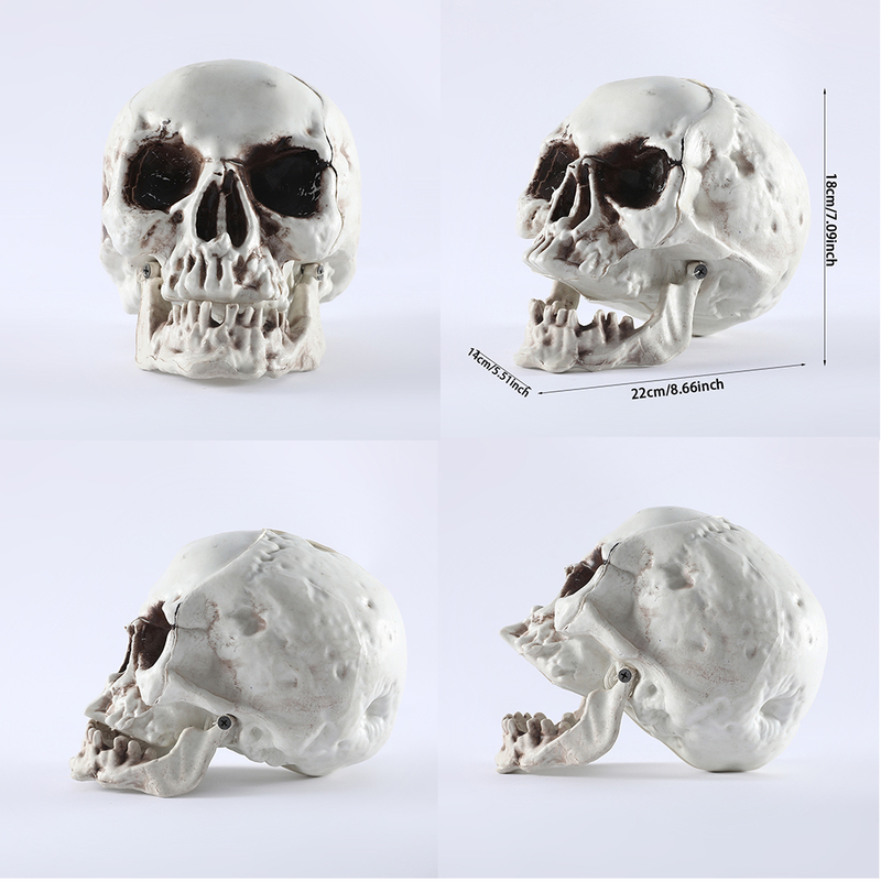 Outras festa de eventos suprimentos de todos os tamanho Artificial Skull Skeleton Halloween decoração de terror assustador adereços de caveira pendurada Modelo de alta qualidade Sculpture Skull Head 220829