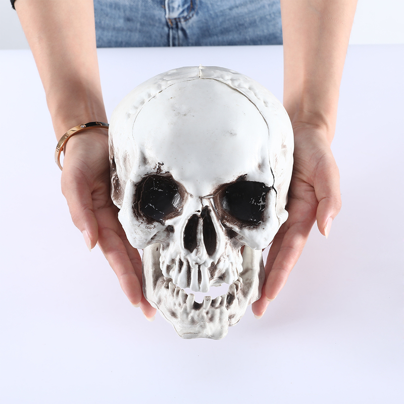 Outras festa de eventos suprimentos de todos os tamanho Artificial Skull Skeleton Halloween decoração de terror assustador adereços de caveira pendurada Modelo de alta qualidade Sculpture Skull Head 220829