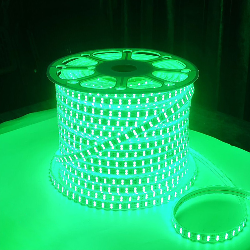 Super helder 5050 RGB LED Strip Licht 120 LED Dubbele rij 220V Hoogspanning Remote REGELSCHUWING Waterdichte LED -tape Ribbon Flexibele strips Home Decoratie