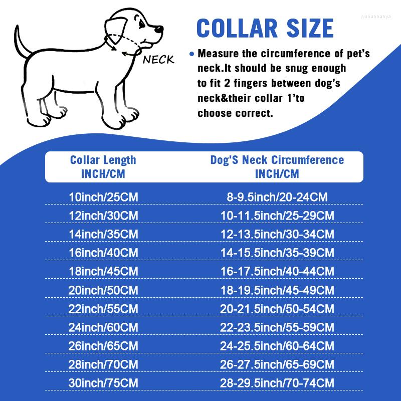 Colliers de chien Collier solide durable avec laisse de chien en métal Ensemble chaîne à maillons cubains en acier inoxydable pour la marche de taille moyenne Traning277L