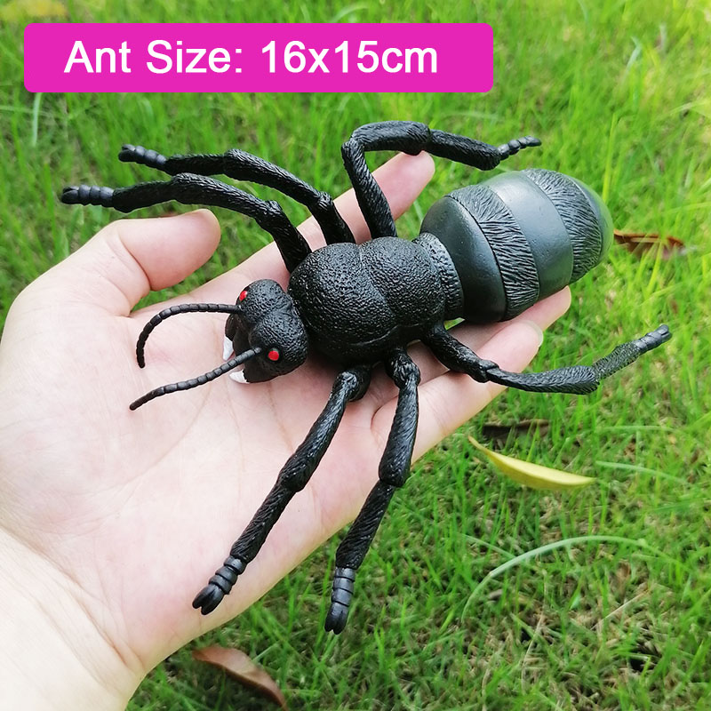 Simulation Insect Model Toy Decorative Props Insects Models Ornaments Prank Trick Funny Toys Halloween Party Decorations Kids Learning Educational Toys