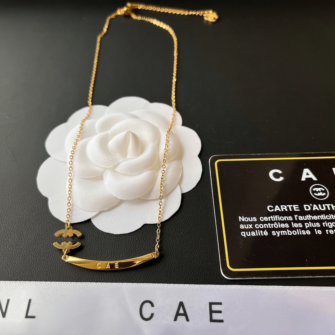 Luxe merk elleboog brief hanger ketting ontworpen voor vrouwen lange ketting 18k vergulde ketting ontwerper sieraden prachtige acces254Z