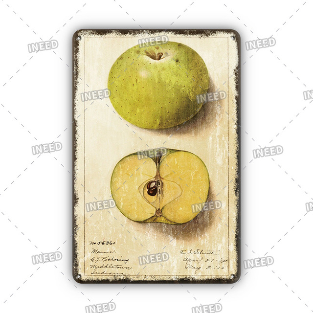 Vintage fruits cuisine métal peinture étain signe Chic alimentaire Stickers muraux décor à la maison plaque de fer Plaque murale 20 cm x 30 cm Woo