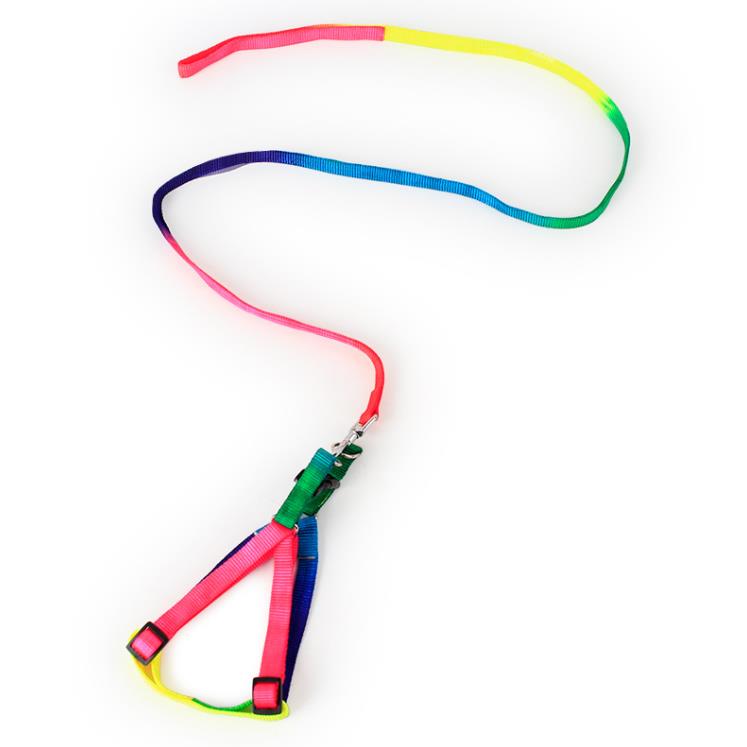 Rainbow Pet Dog Collars Harness Leash 120cm arn￪s de caminhada macia chumbo colorido e dur￡vel tra￧￣o de nylon corda SN486