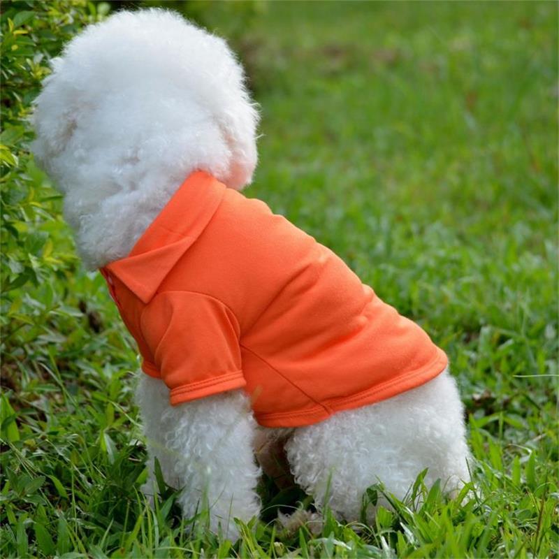 Modehond shirts lente zomer sweatshirts kleurrijke huisdier kleding poromeer materiaal voor kleine hondenkleding