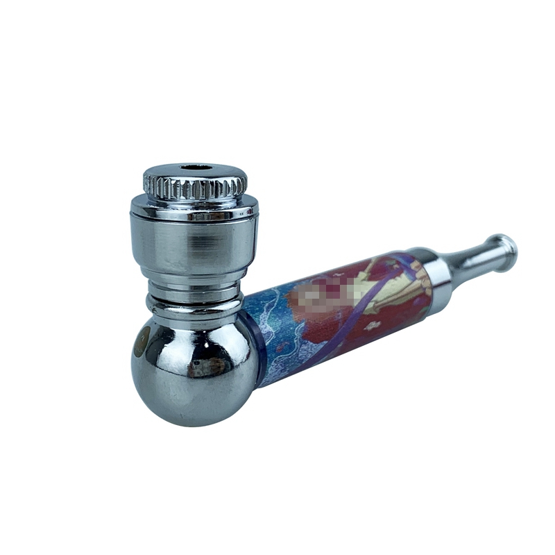 Kleurrijke metalen legering pijpen patroon decoratie draagbare verwijderbare gemakkelijk schoon droog kruiden tabak met filter zilveren scherm sigarettenhouder rookbuis handpipes dhl