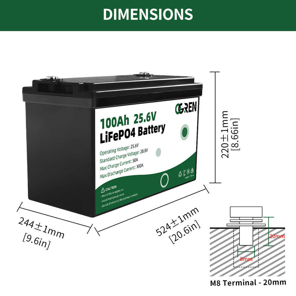 LiFePO4 Battery Pack 12V 24V 100Ah 200Ah Lithium Iron Phosphate Deep Cycle Battery Built-in BMS for RV EV House Storage Off-Grid