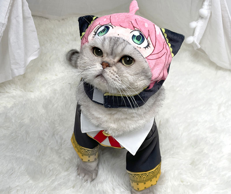 Anime Costumes SPY FAMILY Anya Forger Cosplay Hoodie with Hat Cat Dog Pet Clothes