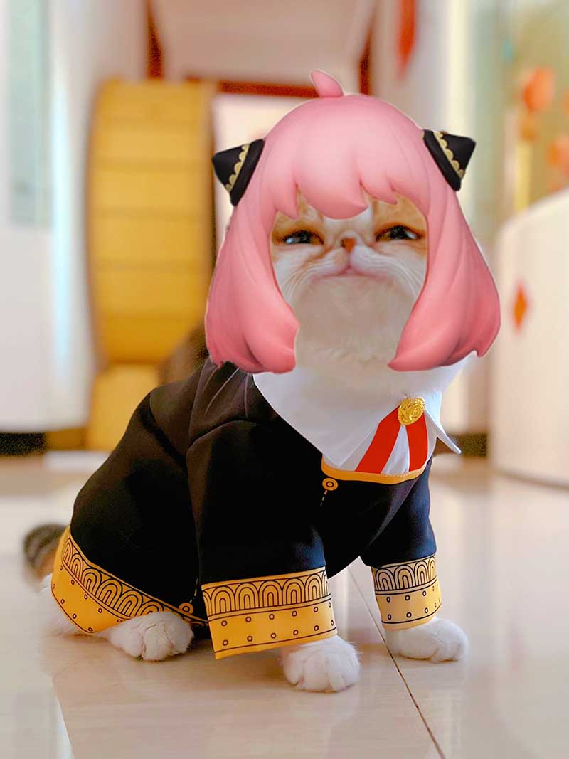 Anime kostuums spionfamilie anya footer cosplay hoodie met hoed kattenhonden huisdierkleding