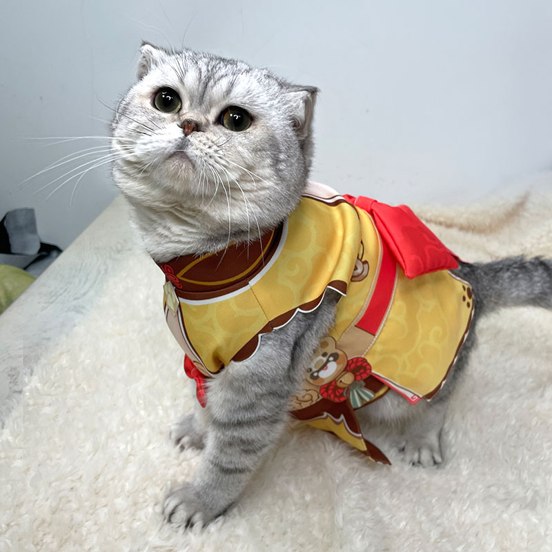 Anime kostymer genshin påverkar xiangling kostym cosplay katt hund husdjur kläder