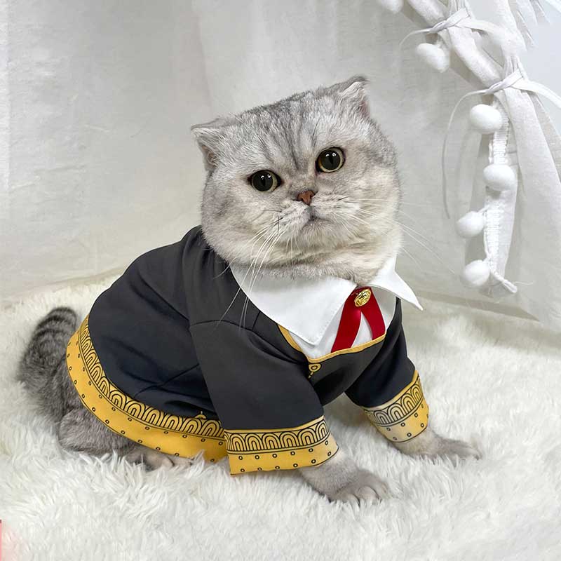 Costumes d'anime Spy Family Anya Forger Cosplay Sweat à capuche avec des vêtements pour animaux de compagnie pour chats