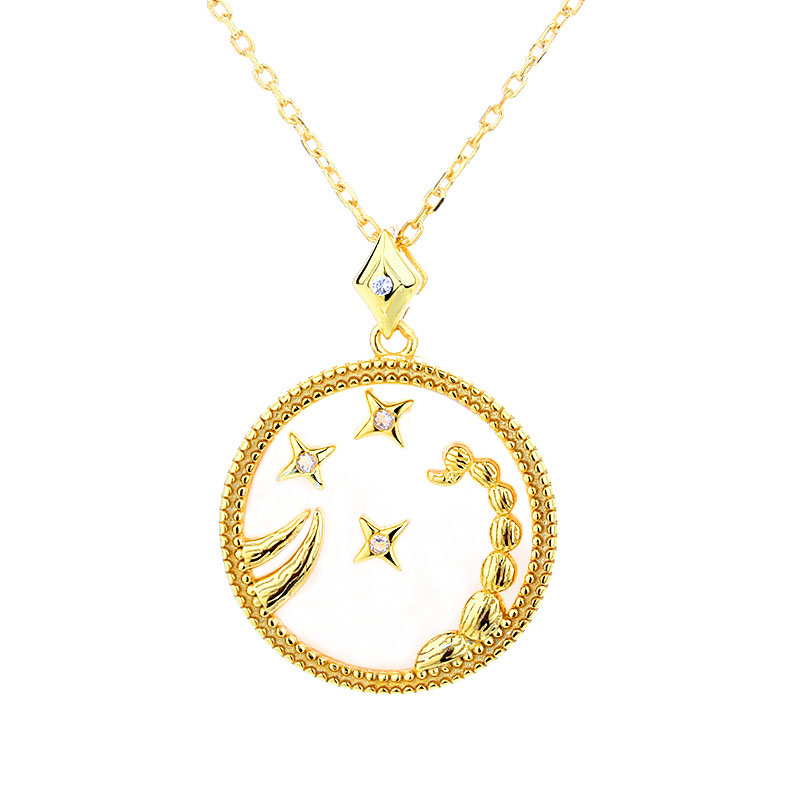 Elegant 12 Zodiac Sign Ketting Pendant Astrologie Kettingen 100% 925 Sterling Silver Zirkoon Women Sieraden