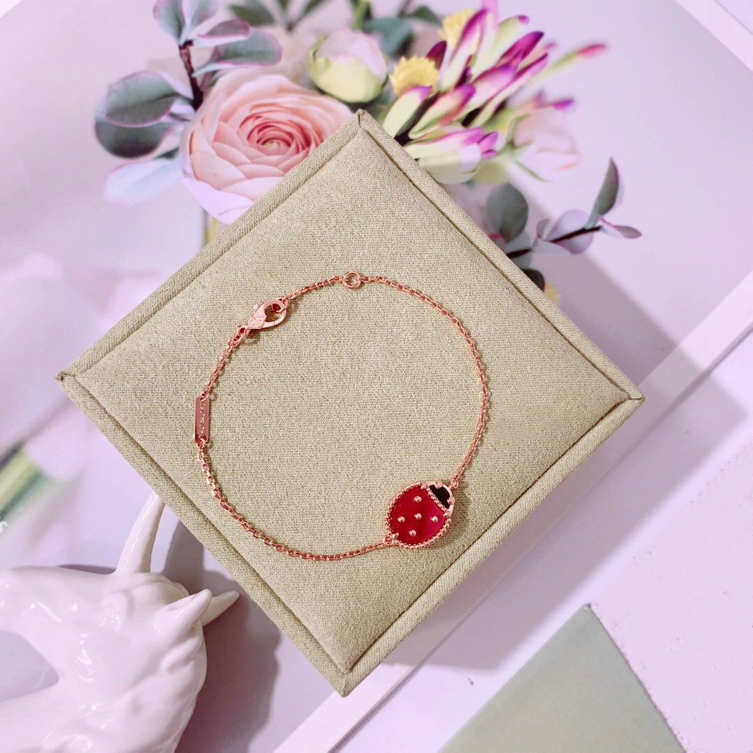 I set di gioielli da sposa set ad alta tendenza in Europa famoso marchio Bracciale oro rosa Lucky Flowers Luxury Spring Ladybug Luxury for Women 221109