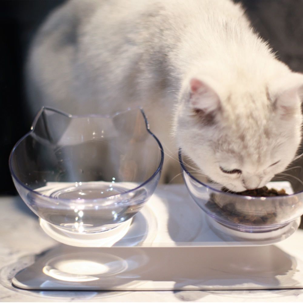 Futternäpfe für Katzen, rutschfest, doppelt, mit Halterung für Futter- und Wasserprodukte, 221109