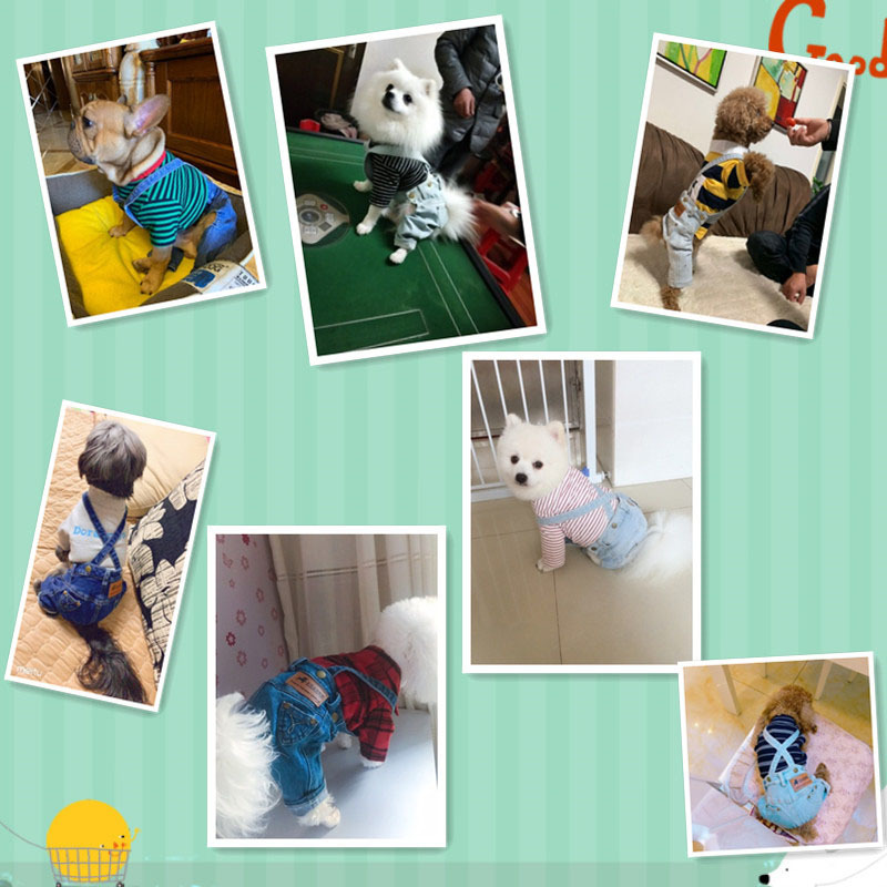 Hondenkleding Denim kleding Jeans Huisdierenkleding voor klein medium Kostuum Chihuahua-jasje Puppy Jumpsuit 221109