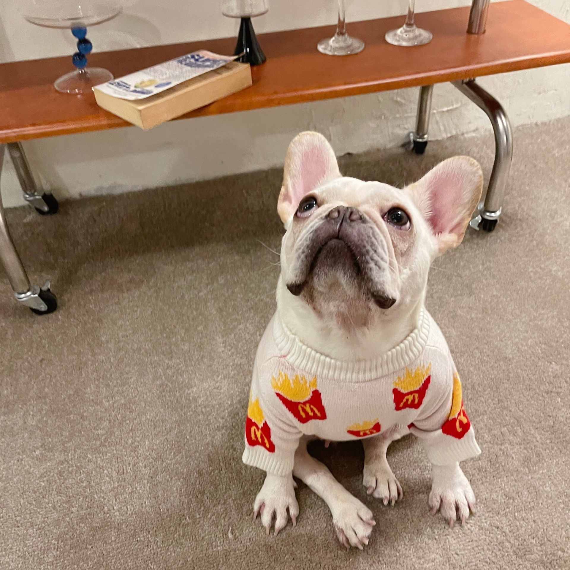 Hundkläder Vinter Varma kläder Petjacka Tröja Valprockar för små medium Chihuahua French Bulldog Clothing 221109