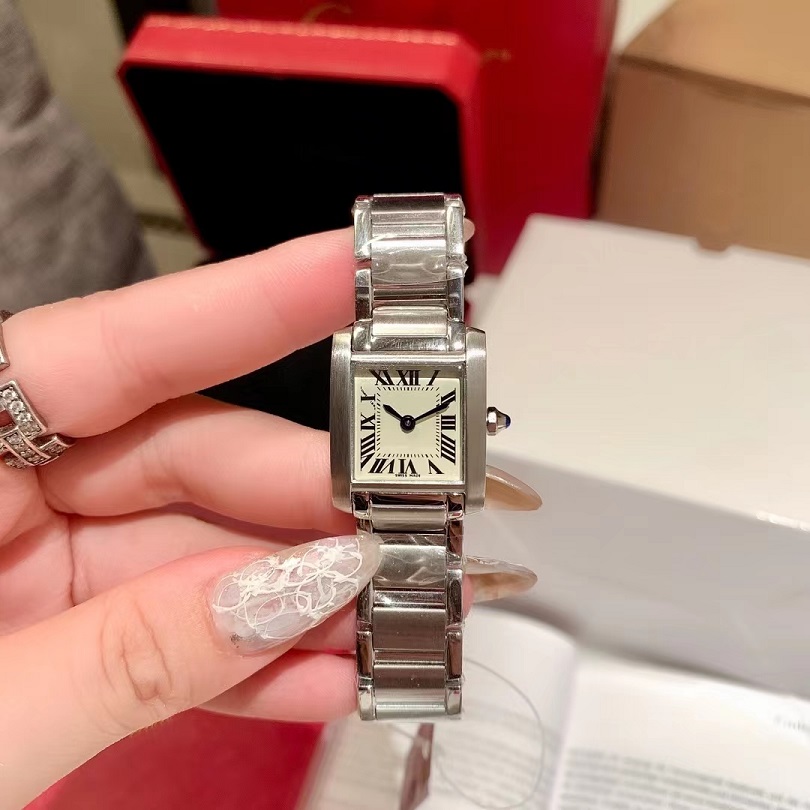 Montre à quartz pour femmes, cadran carré de 25mm, échelle de chiffres romains, étanche, verre saphir entre argent inoxydable 289y