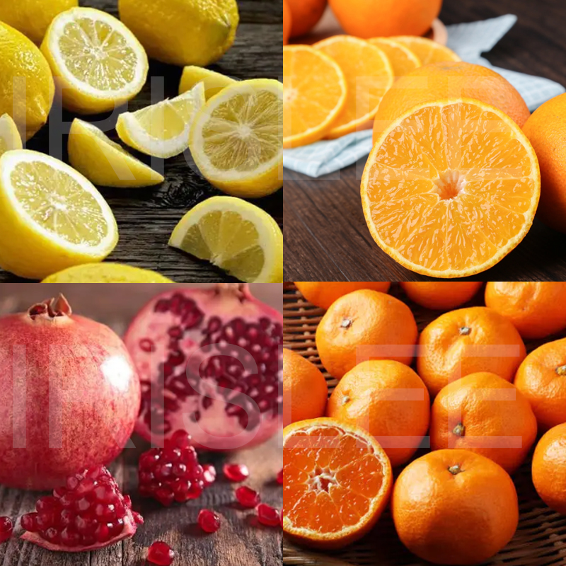 Manual Pomegranate Juicer Hand Orange Squeezer Lemon Fruit Press Machine Stainless steel Juicer