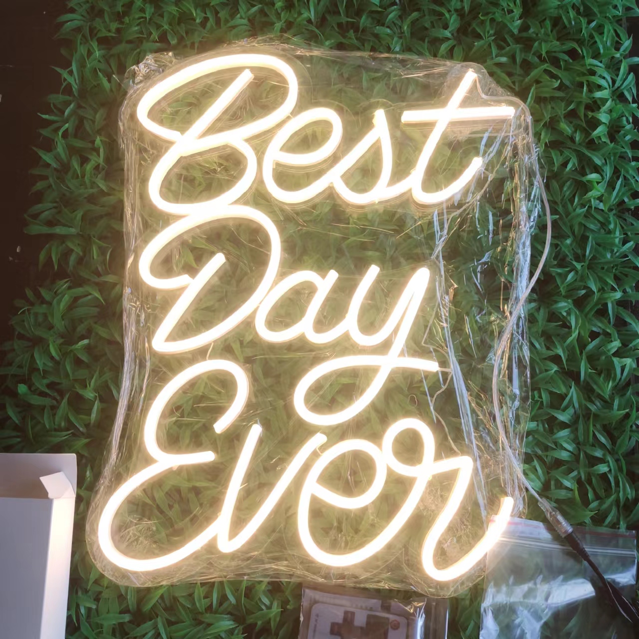 Best Day Ever LED Neon Sign Lights for Cold Wall Decor Bedroom Home Decoration Warm White Lighting Mysterious Gift for livingroom Decorations custom